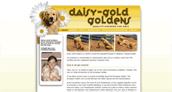 Desktop Screenshot of daisygoldgoldens.com