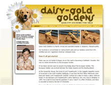 Tablet Screenshot of daisygoldgoldens.com